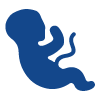 Icon Embryo